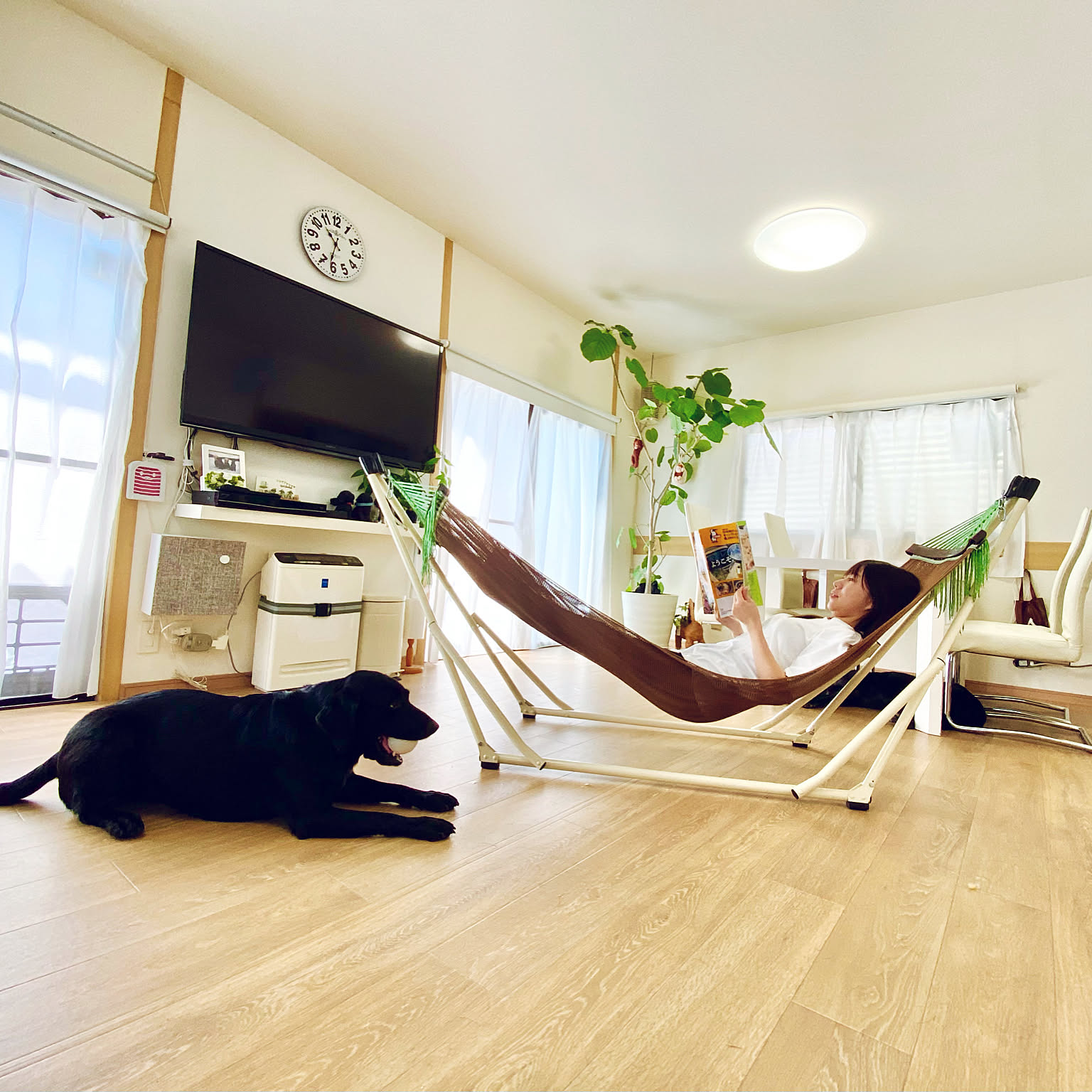 ハンモック 鉄棒のインテリア実例 Roomclip ルームクリップ