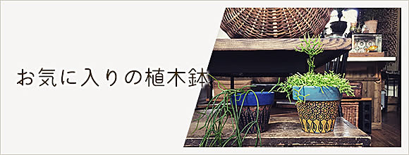 お気に入りの植木鉢