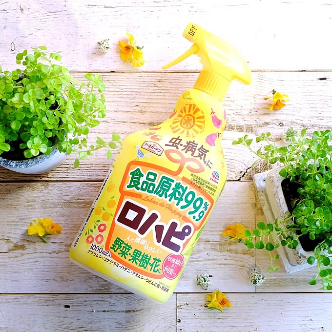 【無料モニター】食品成分99.9％！効果も抜群な「ガーデニングの虫＆病気対策スプレー」を使ってみたい方、大募集♪