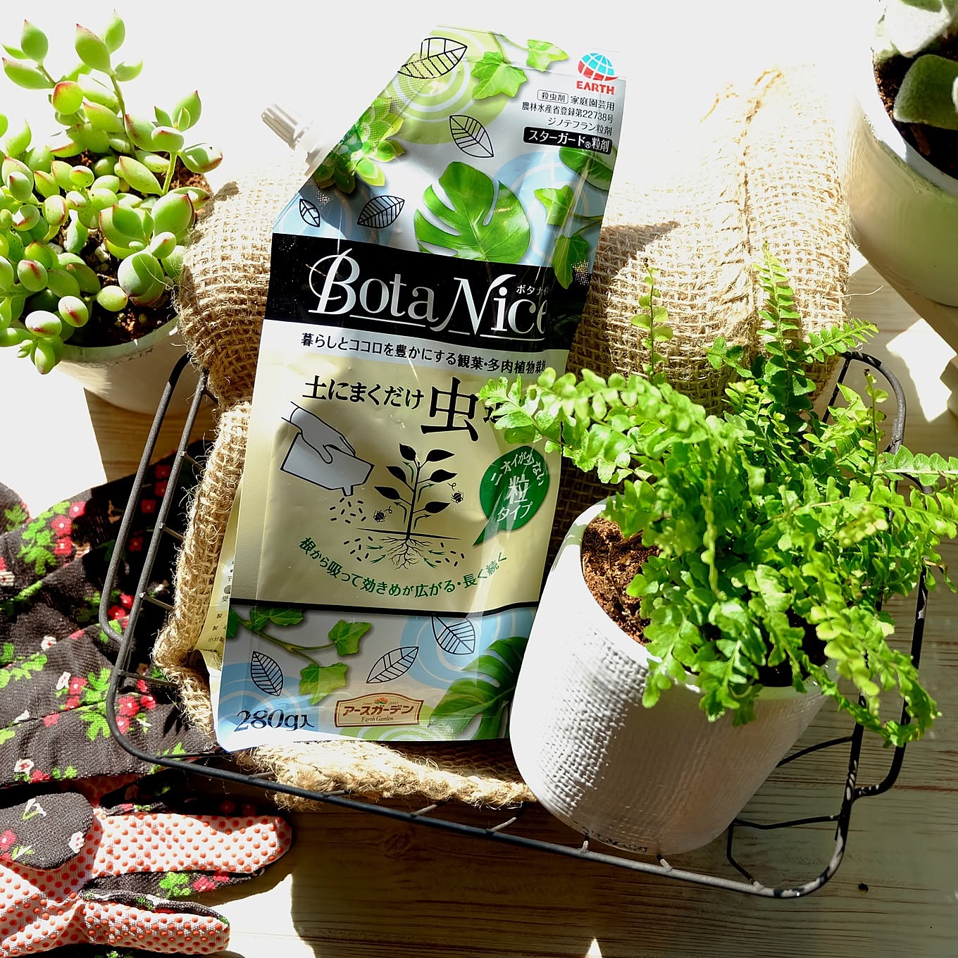 【無料モニター】おうちの植物に♪「BotaNice土にまくだけ虫退治」で快適グリーンライフを楽しみたい方大募集！