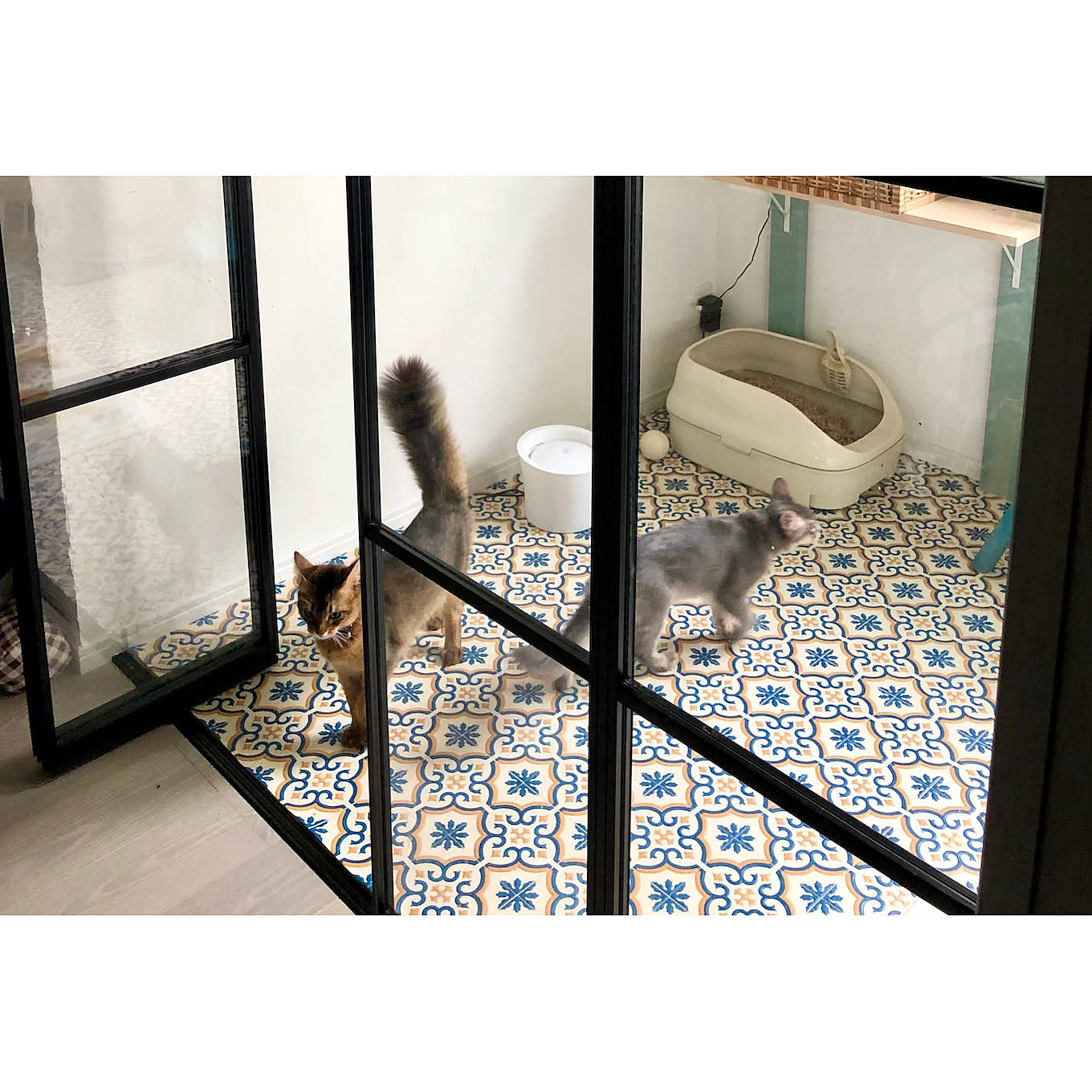 ペットとの暮らしも リモートワークも 間仕切りがあると おうちの使い方が変わる Roomclip Mag 暮らしとインテリアのwebマガジン