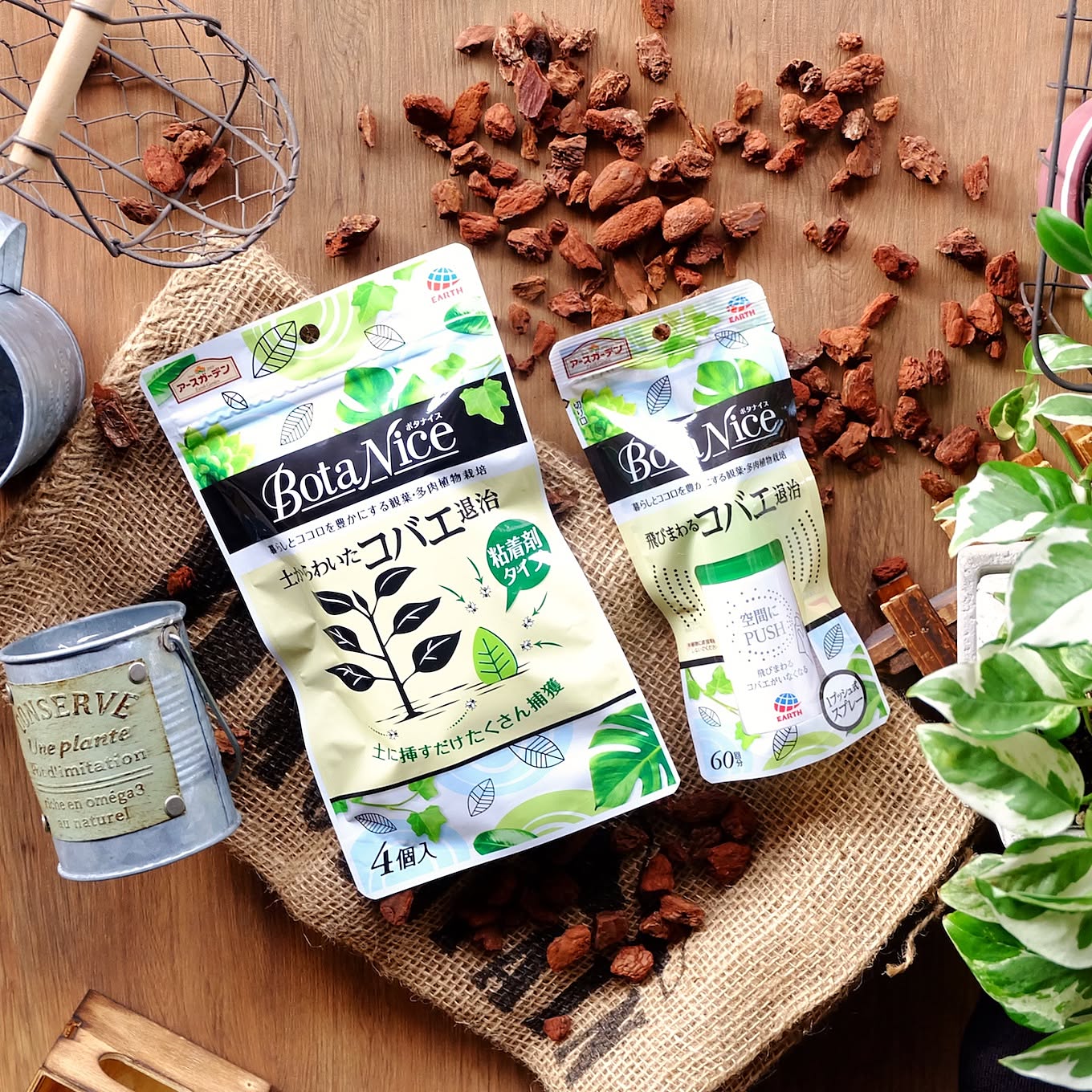 【無料モニター】観葉植物に♪楽チンなのに効き目しっかり「BotaNiceコバエ対策シリーズ」を試してみませんか？