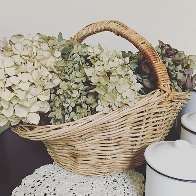 可憐で繊細なあじさい♡ドライフラワーにして部屋に飾ろう