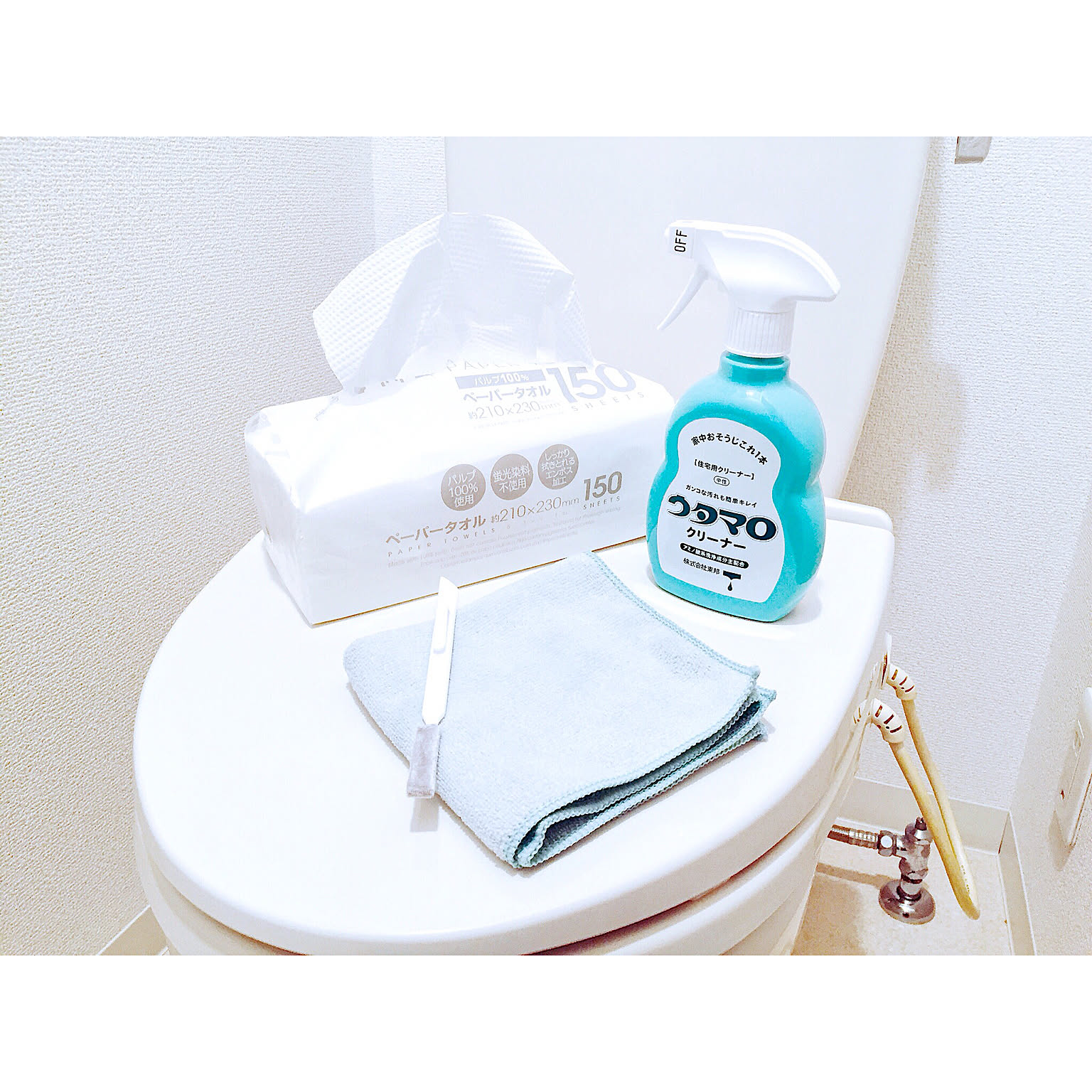 明日から実践☆トイレ掃除がはかどる道具＆アイディア