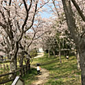 Maiさんのお部屋