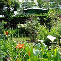 botanさんのお部屋