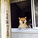 epipiさんのお部屋