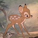 bambi-coさんのお部屋