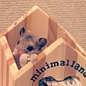 narumiさんのお部屋