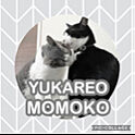 YUKA-REO-MOMOKOさんのお部屋