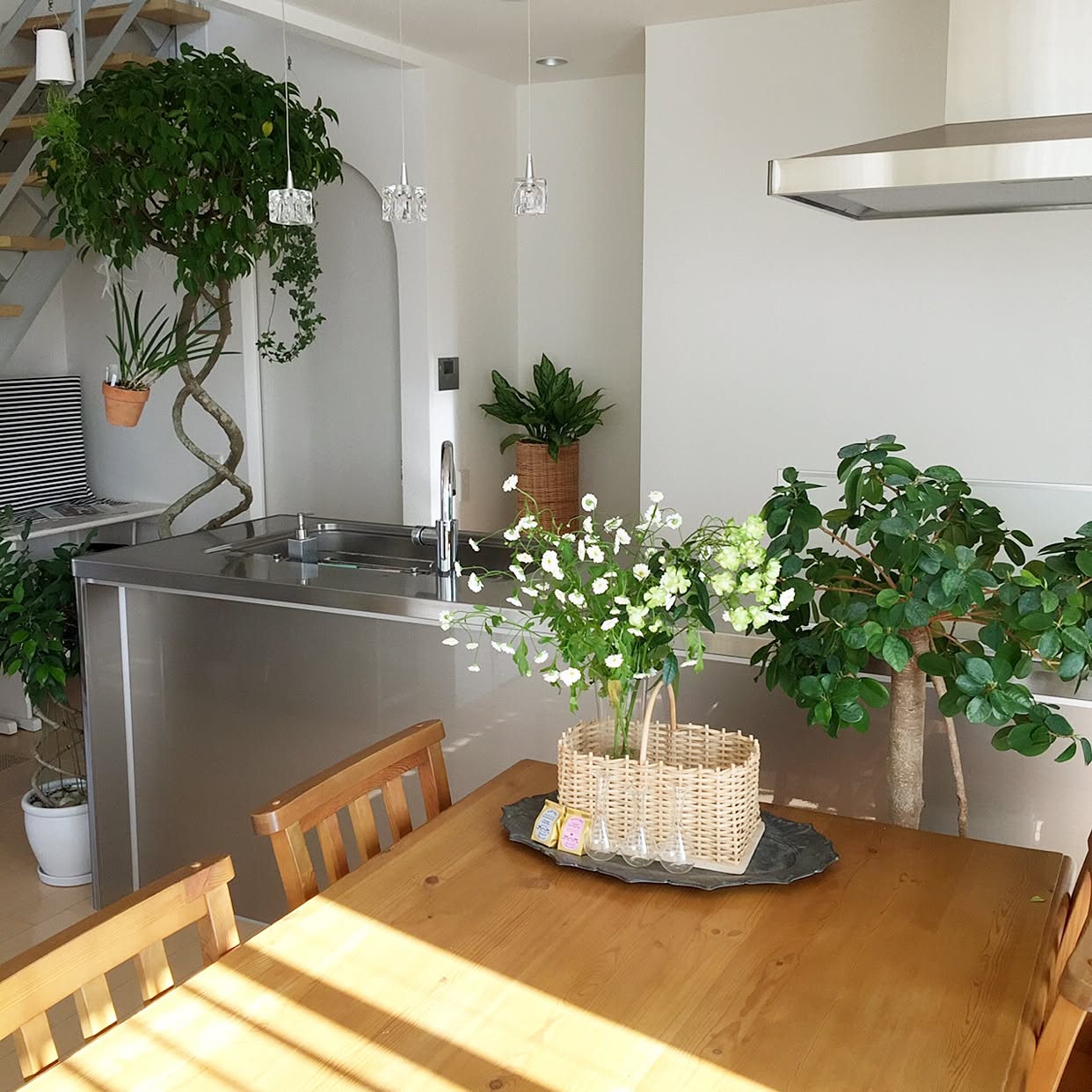 キッチン/グリーンのある暮らし/観葉植物/ボタニカルインテリア/花のある暮らし...などのインテリア実例