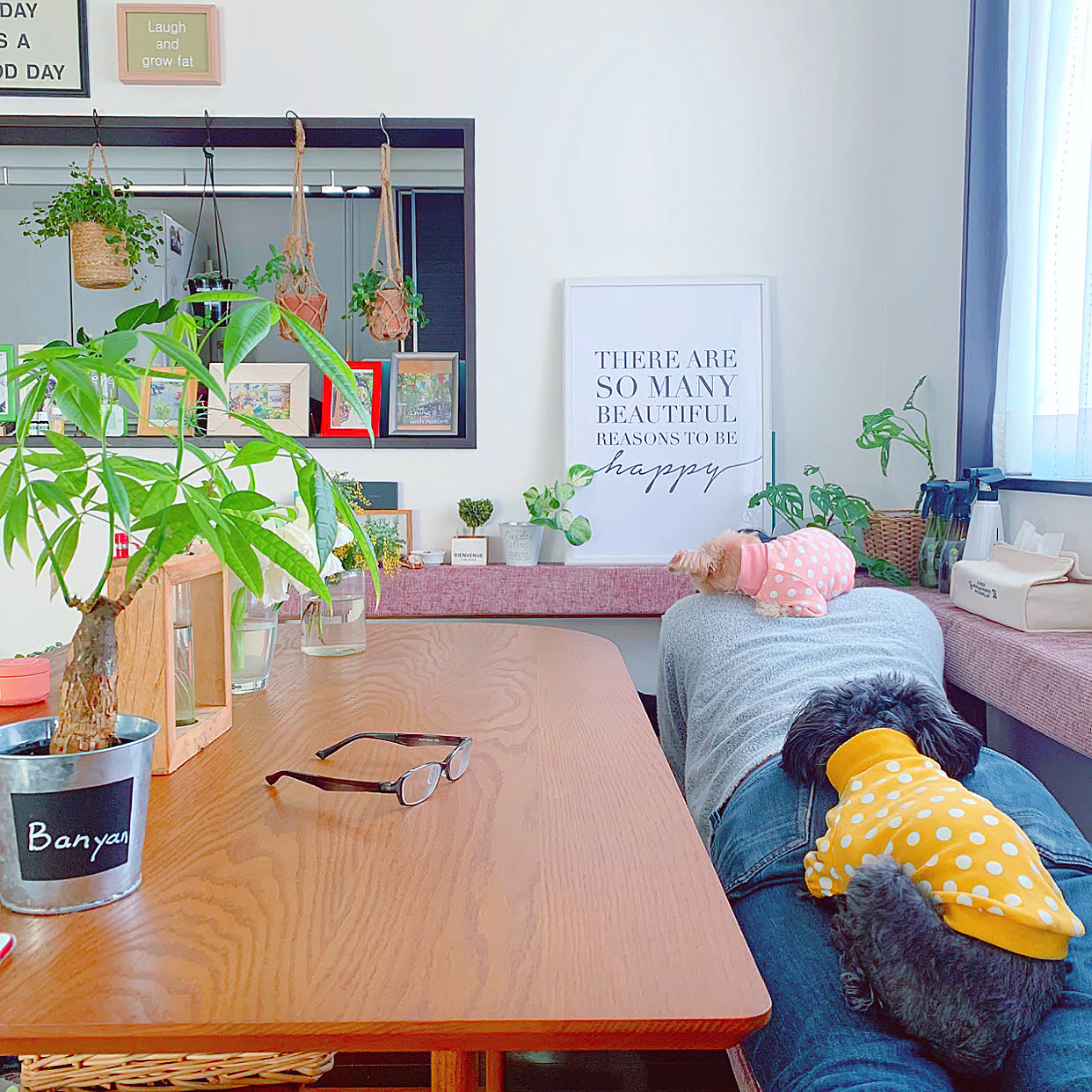 犬と暮らす/わんこと暮らす家/植物のある暮らし/グリーンのある暮らし/犬との暮らし...などのインテリア実例