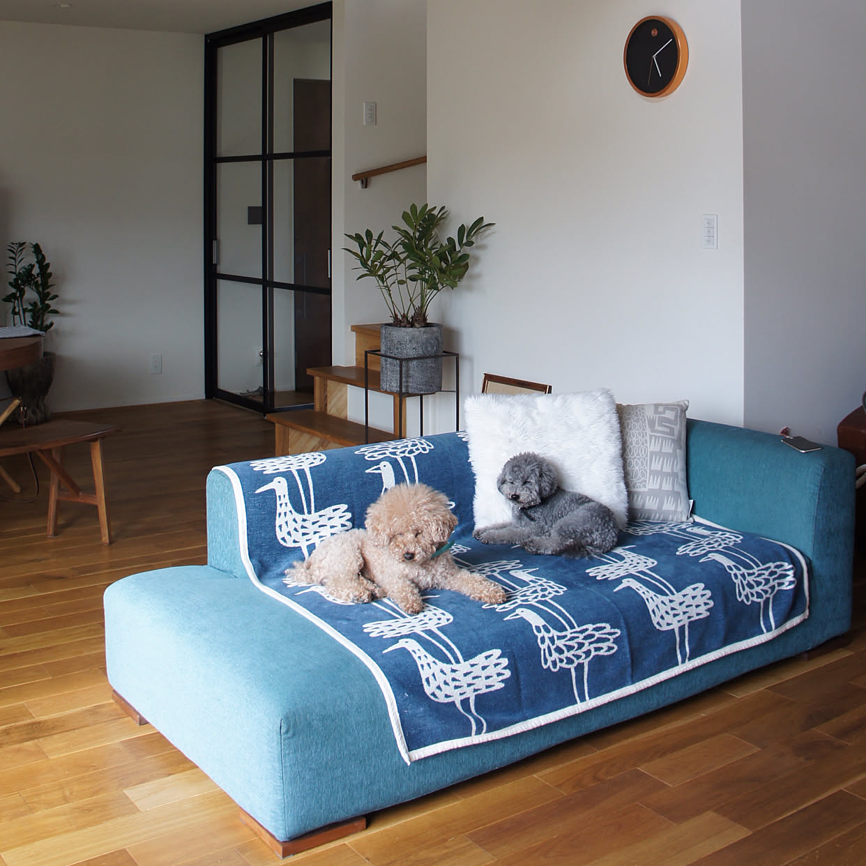 リビング/ソファ/クリッパン/ig…amiagramのインテリア実例 20171011 064623 ｜ RoomClip（ルーム