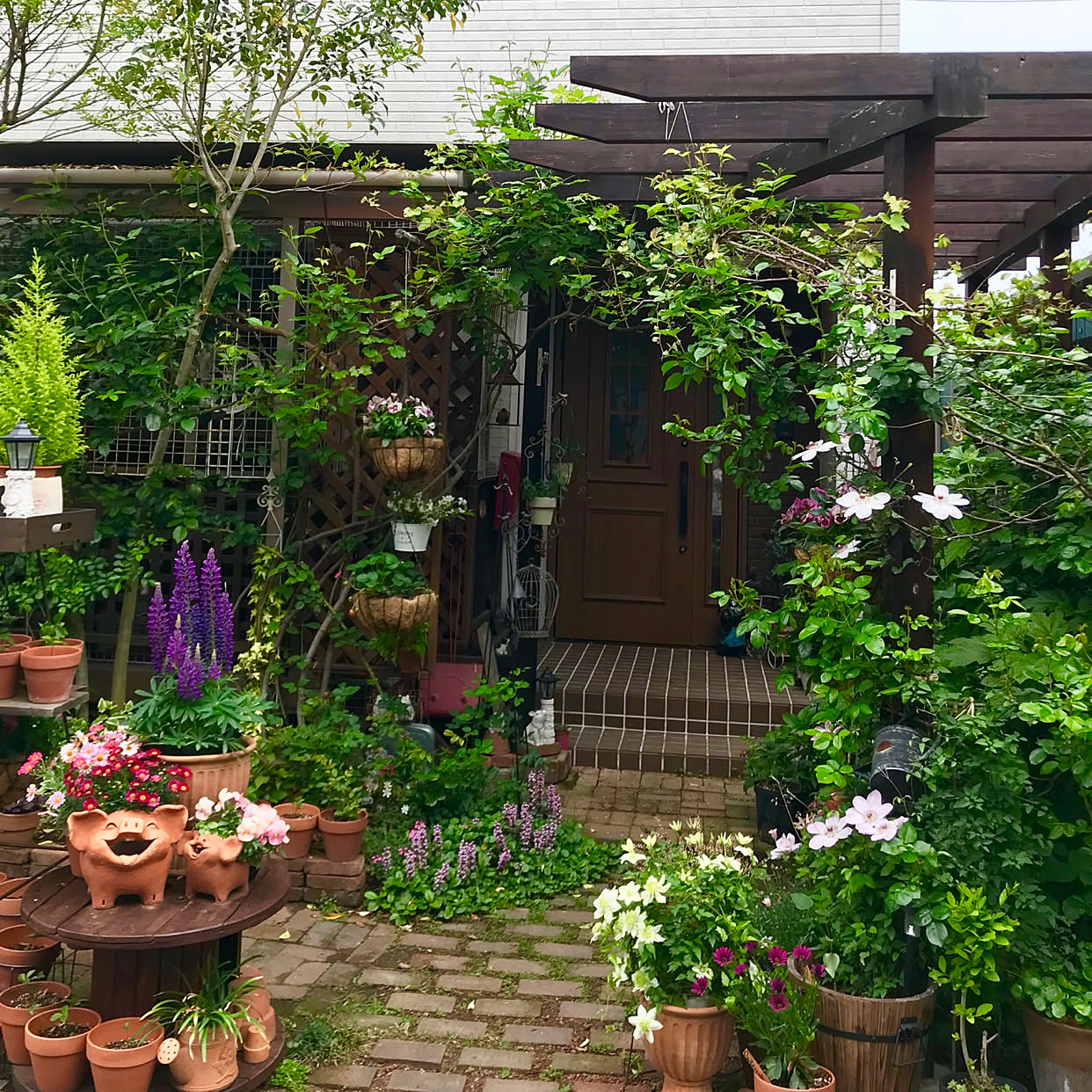 petit jardin -haie-vive-buis-fleurs-coin-repos