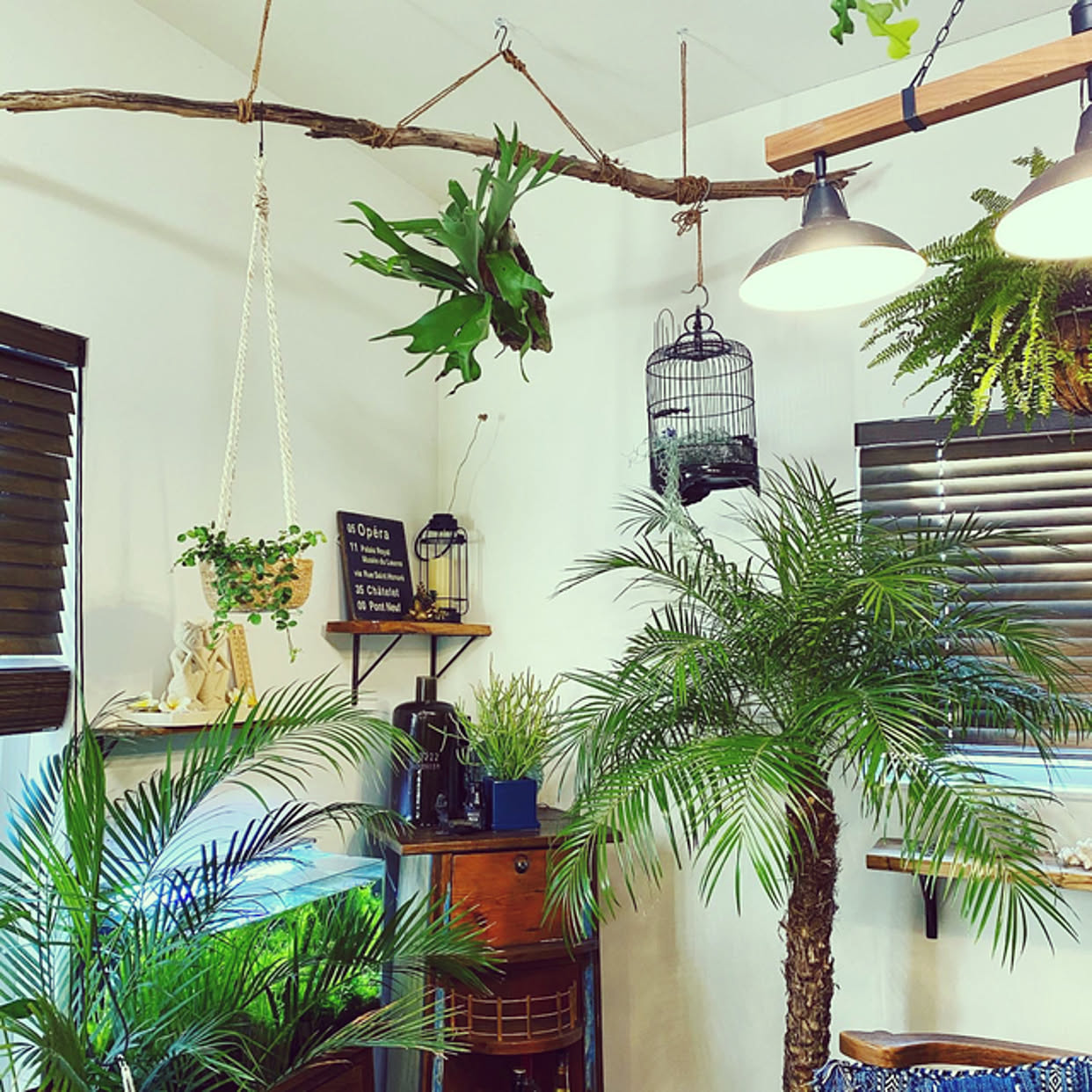 多肉植物/アジアンインテリア/フォロー&amp;いいね ありがとうございます♡/バリリゾート風/カフェコーナーdiy&hellip;などのインテリア実例
