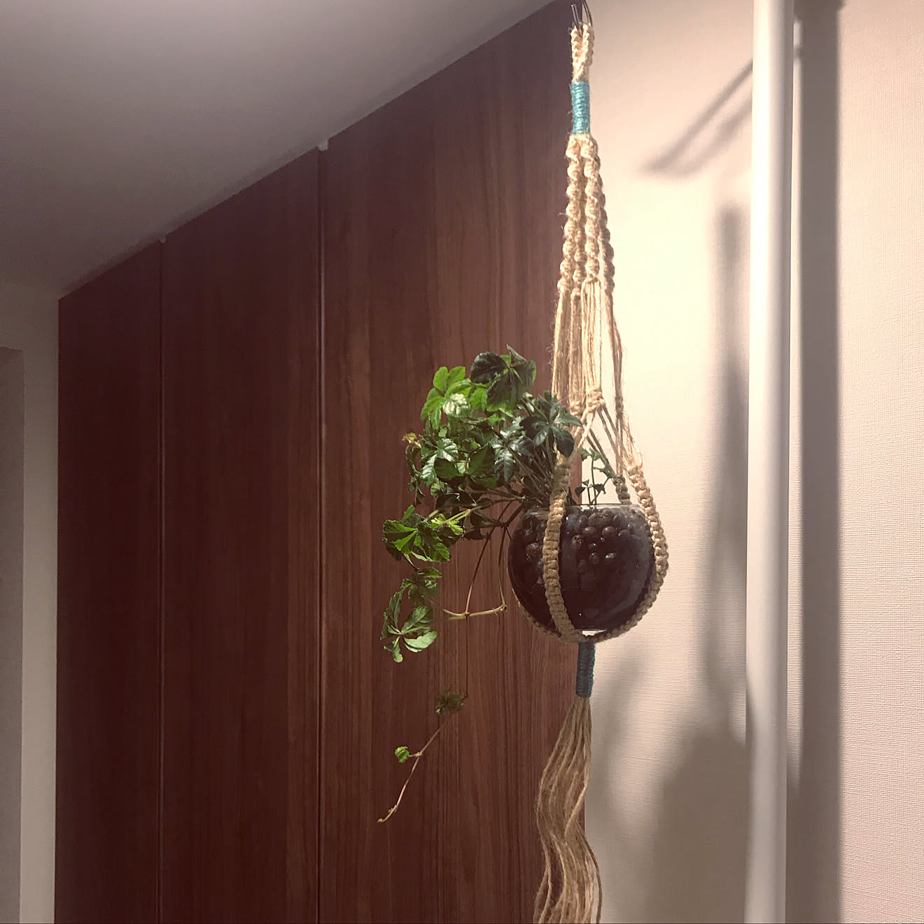 creema/観葉植物/一人暮らし/シュガーバイン/プラントハンガー&hellip;などのインテリア実例 20190419 184446