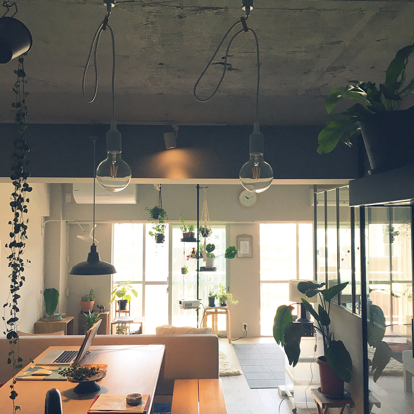 部屋全体/観葉植物/照明/リノベーション/花のある暮らし&hellip;などのインテリア実例 20200514 123916