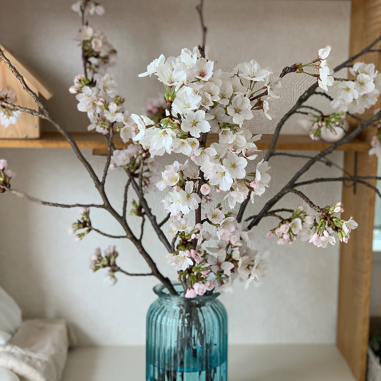 桜の枝/花のある暮らし/さくら/花を飾る/玄関の棚&hellip;などのインテリア実例 20190404 151303 ｜ RoomClip