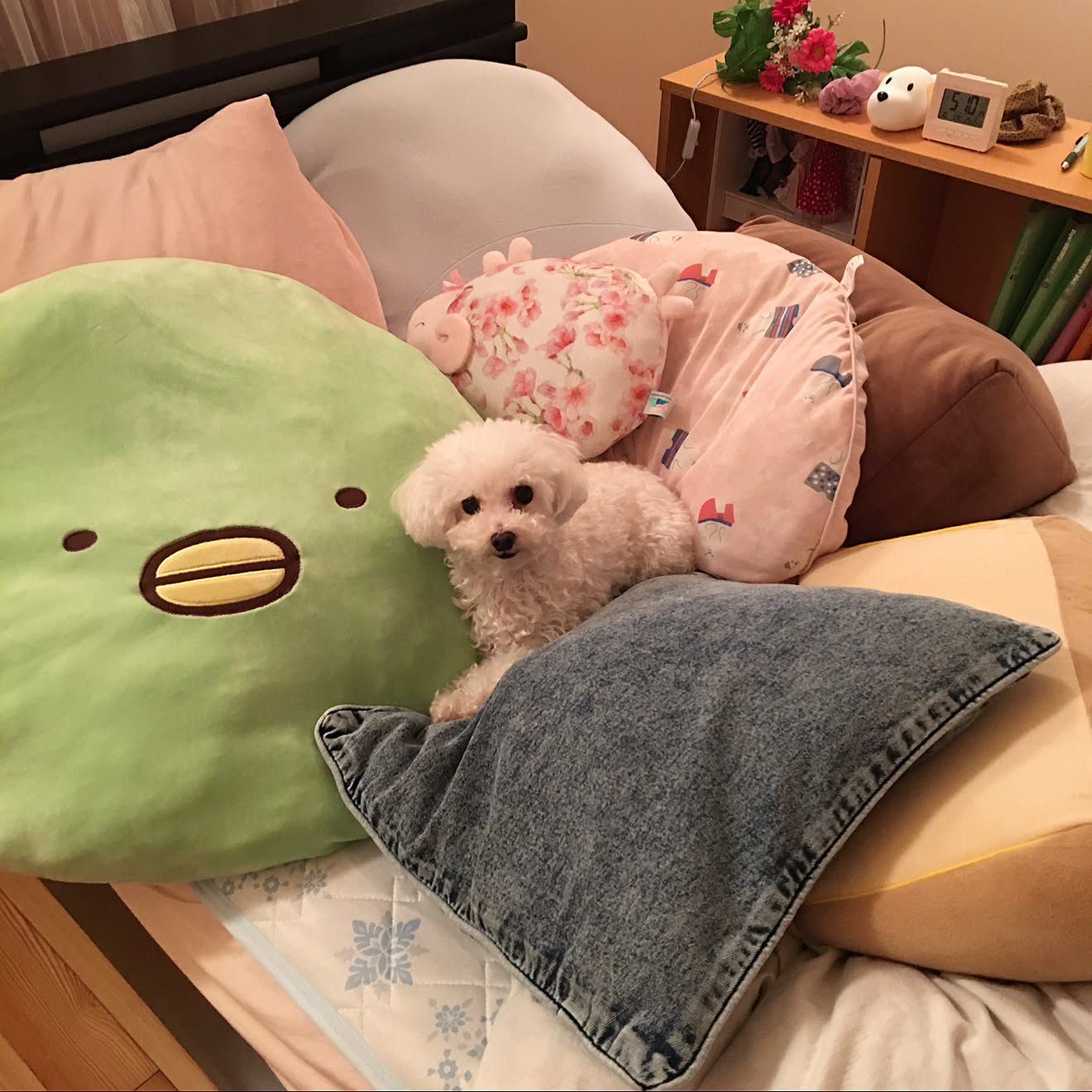 腰痛対策/枕が合わないと眠れない/ニトリ、しまむら、サンキ、雑貨屋、布団屋/雨22°/朝は肌寒い...などの