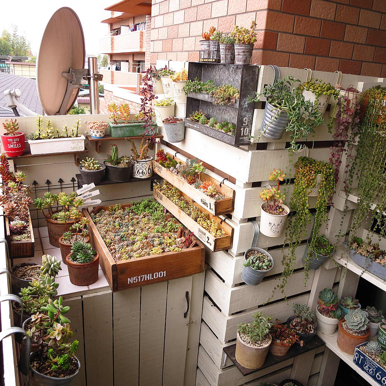 多肉植物/ベランダガーデニング/多肉棚DIY/木製プランターDIY/ブリキ&hellip;などのインテリア実例 20171129 0658