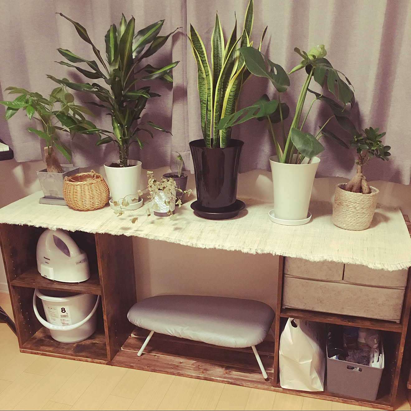DIY/ニトリ/観葉植物/棚のインテリア実例 20210711 235246 ｜ RoomClip（ルームクリップ）