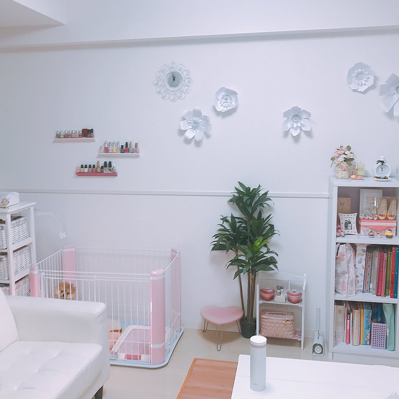部屋全体/ペット/一人暮らしのインテリア実例 20180629 001356 ｜ RoomClip（ルームクリップ）
