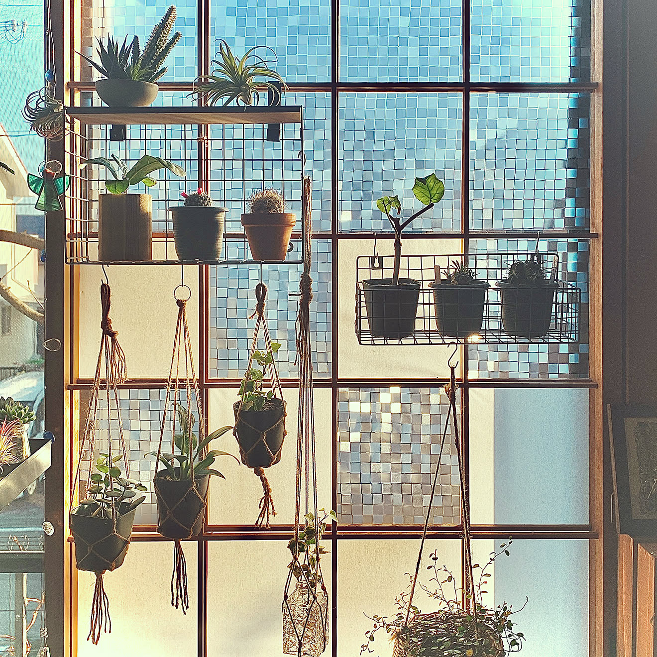 窓際のグリーン/ミニ観葉植物/アイアン雑貨/障子リメイク/ハンキンググリーン&hellip;などのインテリア実例 20210203 1624