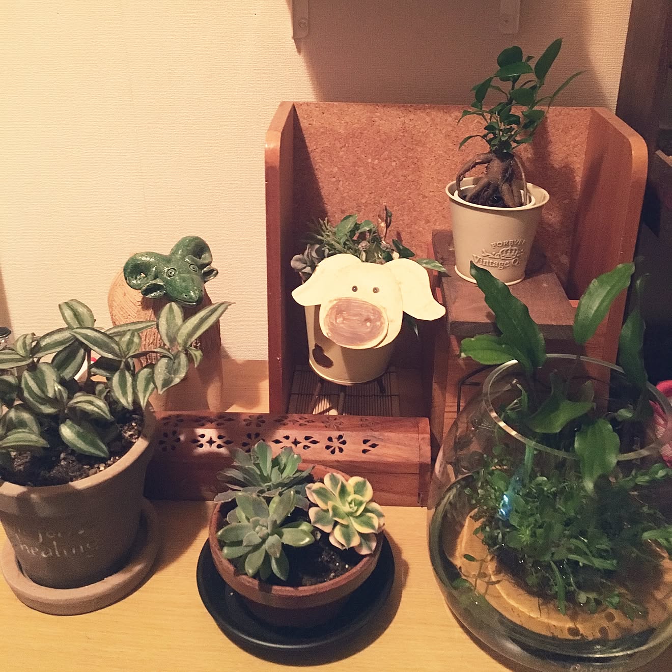 玄関/入り口/植物/アジアン好き/観葉植物/多肉植物&hellip;などのインテリア実例 20160530 195058