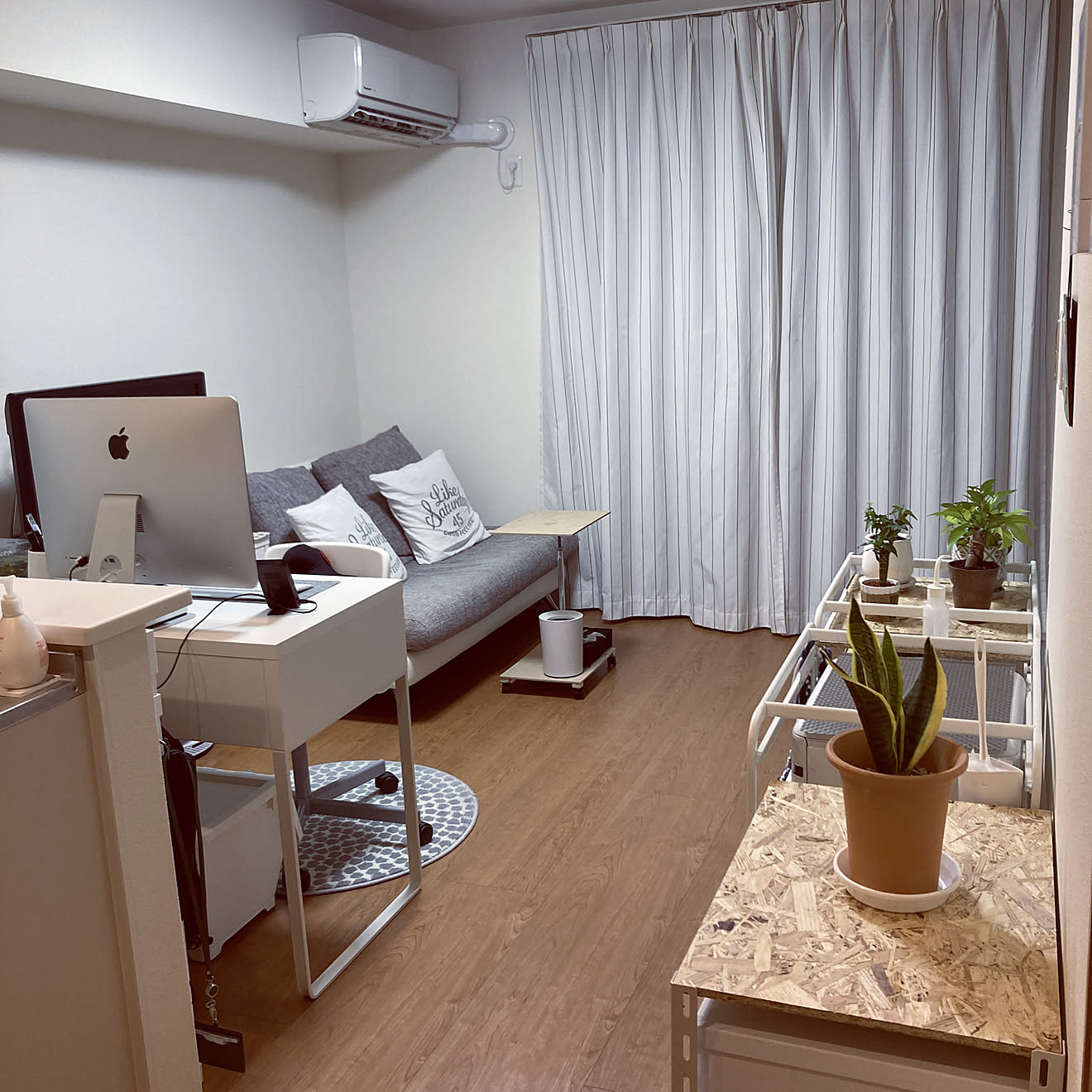 観葉植物のある暮らし/一人暮らし/モノトーン/ホワイトインテリア/部屋全体のインテリア実例 20210530 212156