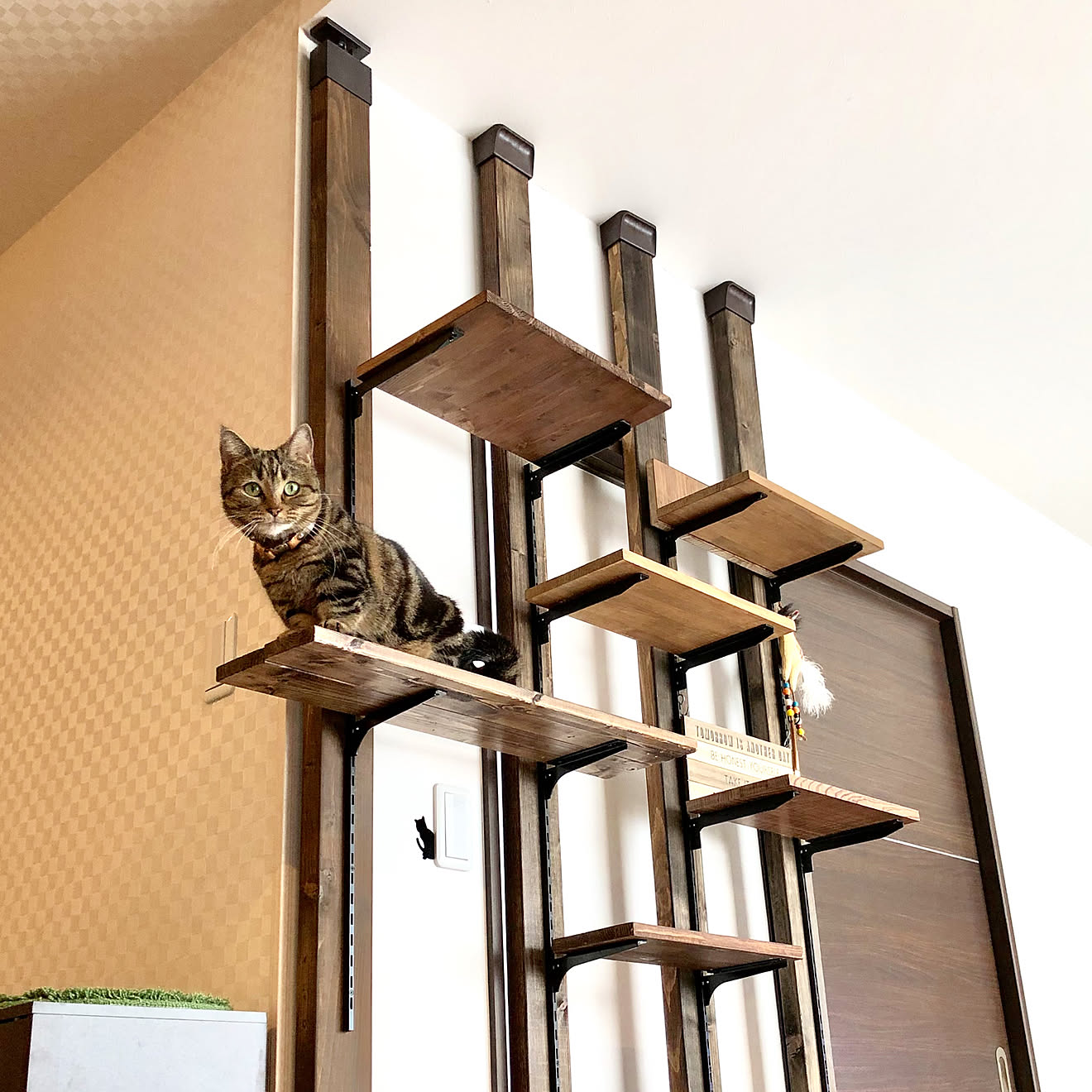 棚/いいね♪いつもありがとうございます ️/キャットタワーDIY/ディアウォールキャットタワー/キャットタワーディアウォール&hellip;などの