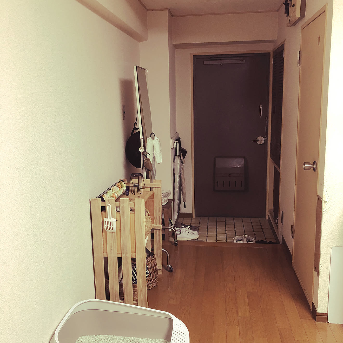 玄関開けたらすぐリビング/モニター応募投稿/古い賃貸/古いマンション/リビングのインテリア実例 20191013 224230