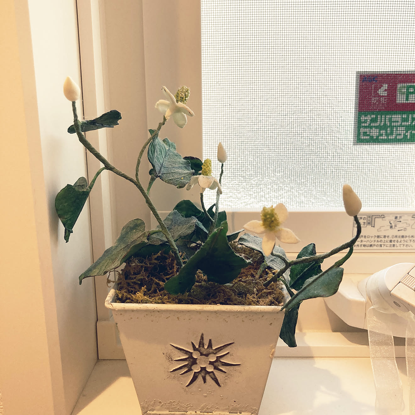 ナチュラル/DIY/ハンドメイド/観葉植物/バス/トイレのインテリア実例 20210311 161152