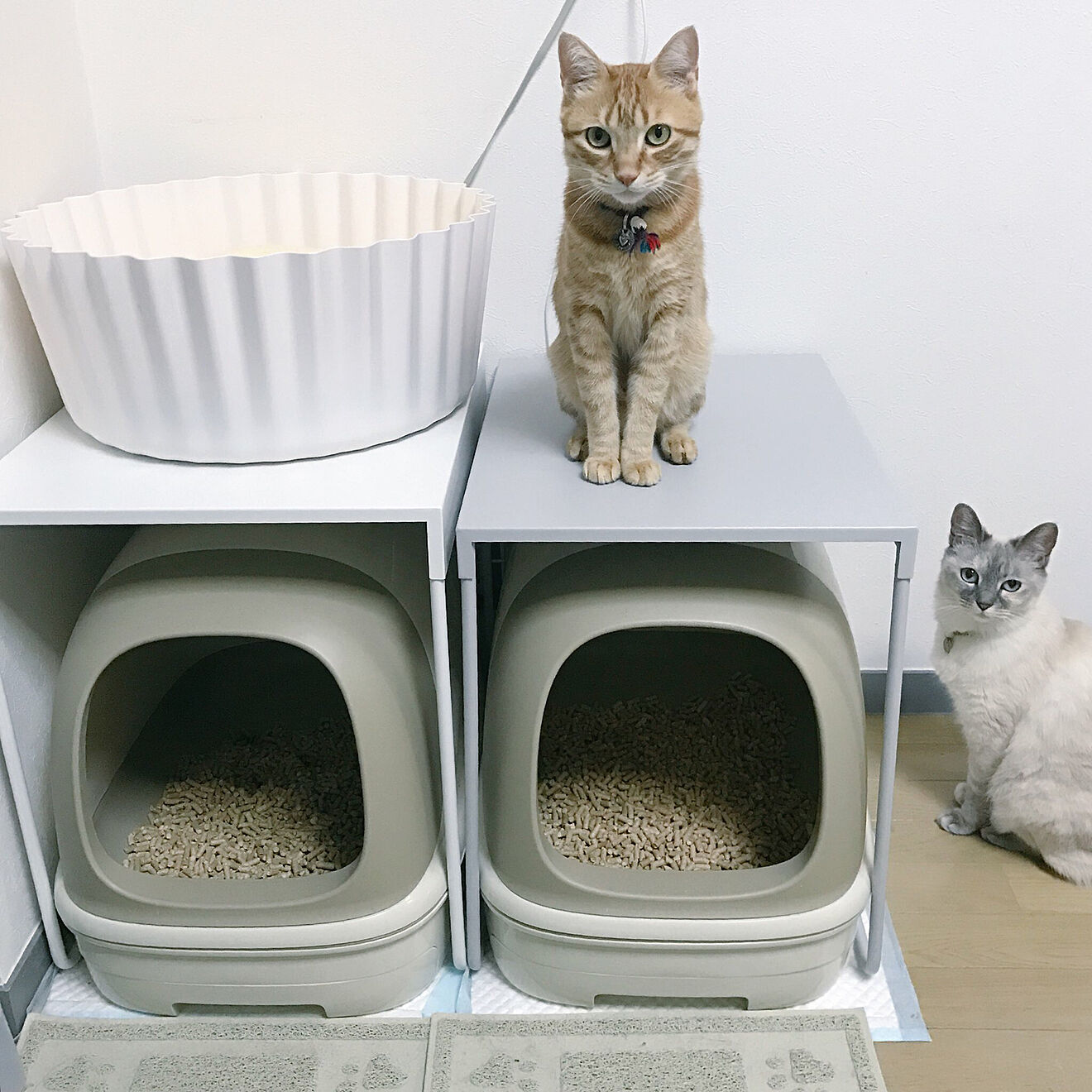 キャットハウス 猫トイレ カバーの+inforsante.fr