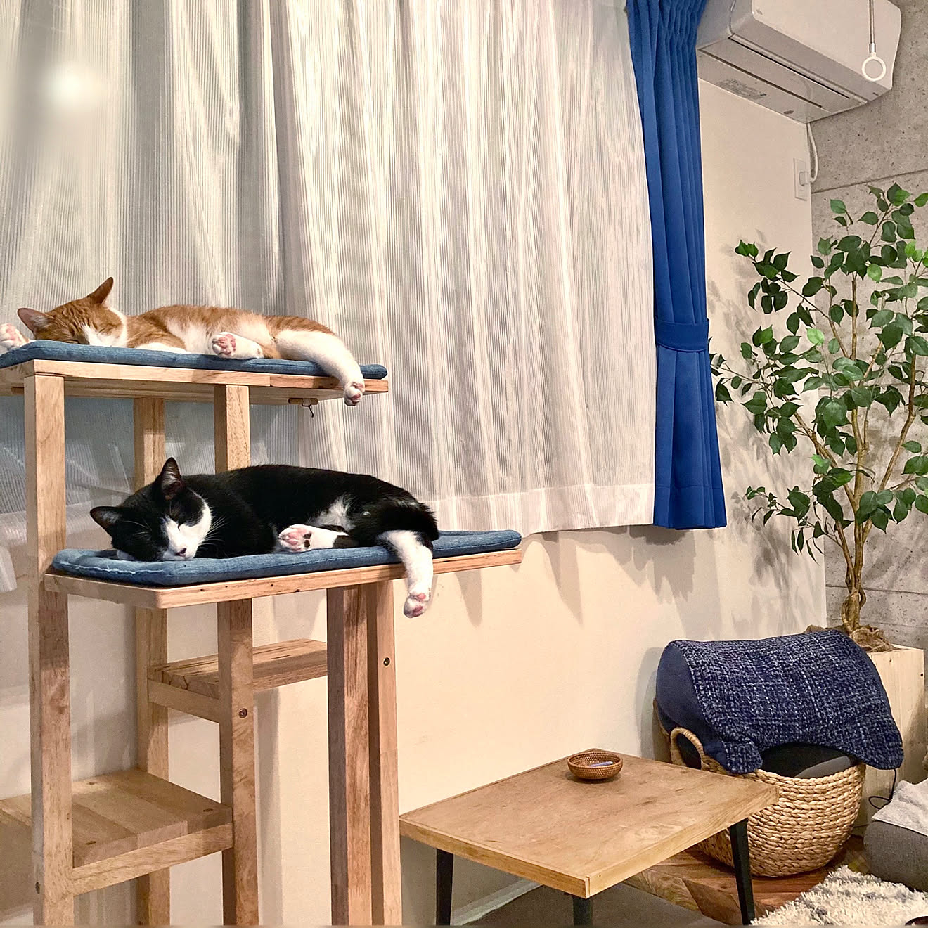 猫のいる暮らし/ねこのいる風景/ペットと暮らすインテリア/木製/キャットタワー&hellip;などのインテリア実例 20210521 2043