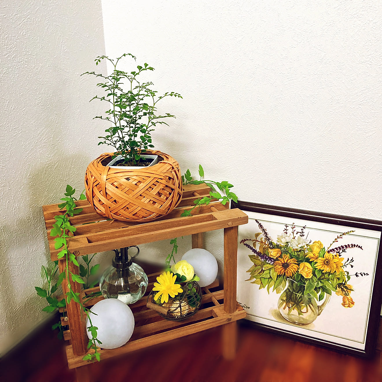 ディスプレイ棚/ワッツの木製ラック/カレンダーの絵/ダイソーのLEDライト/シマトネリコの苗&hellip;などのインテリア実例 202102