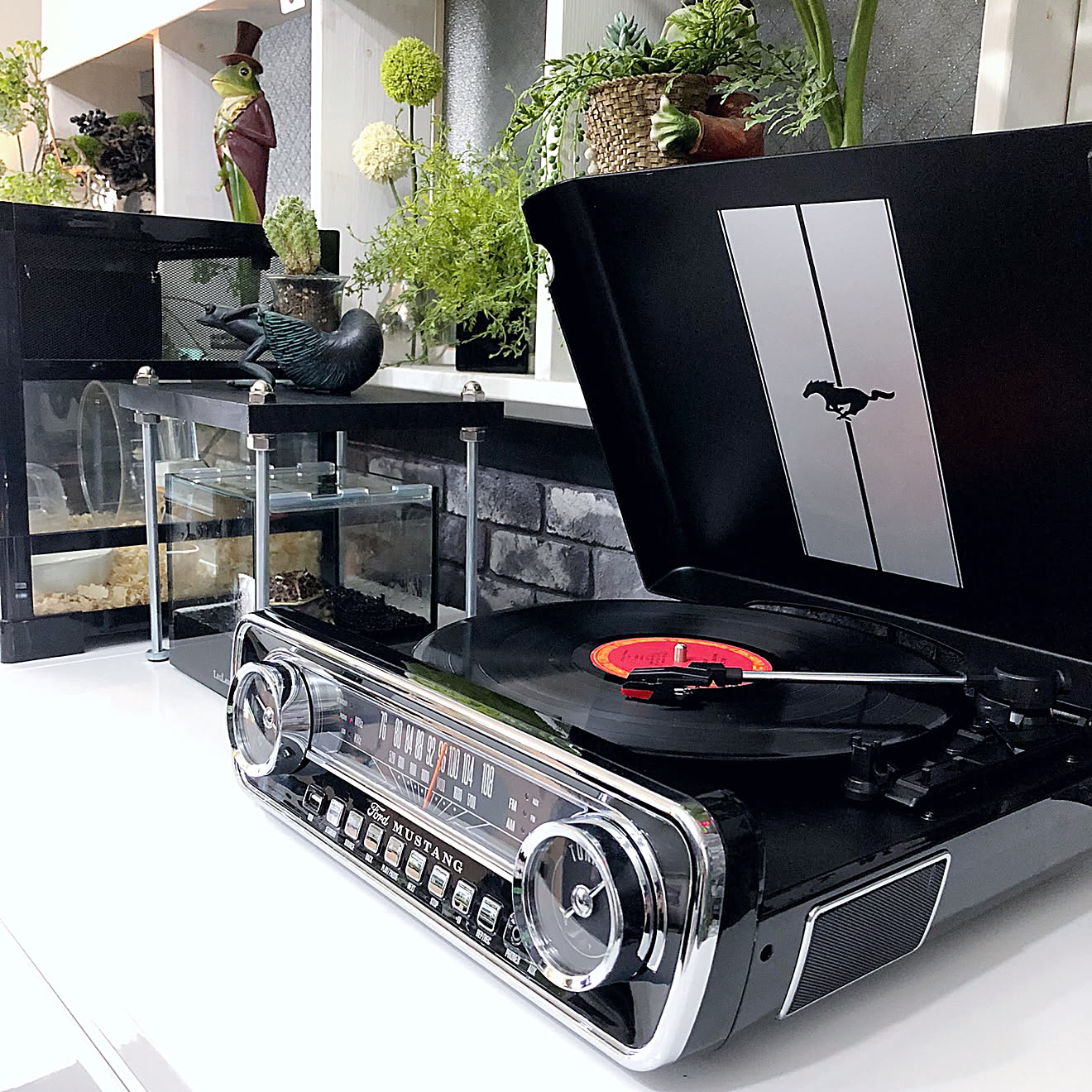 ツノガエル/ION AUDIO/レコード鑑賞/音楽鑑賞/レコードプレーヤー&hellip;などのインテリア実例 20190421 1419