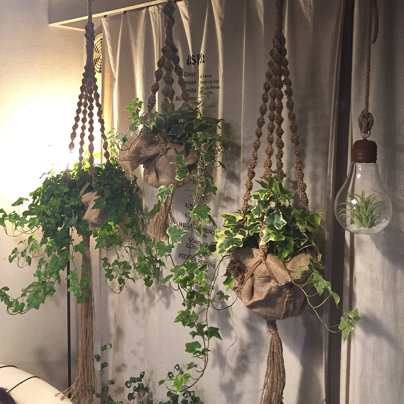 部屋全体/観葉植物/アイビー/プラントハンガー/NO GREEN NO LIFE&hellip;などのインテリア実例 20151212 22