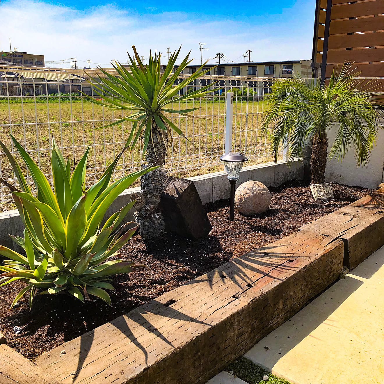 plante-exotique-bananier-jardin-grand-bananes plante exotique