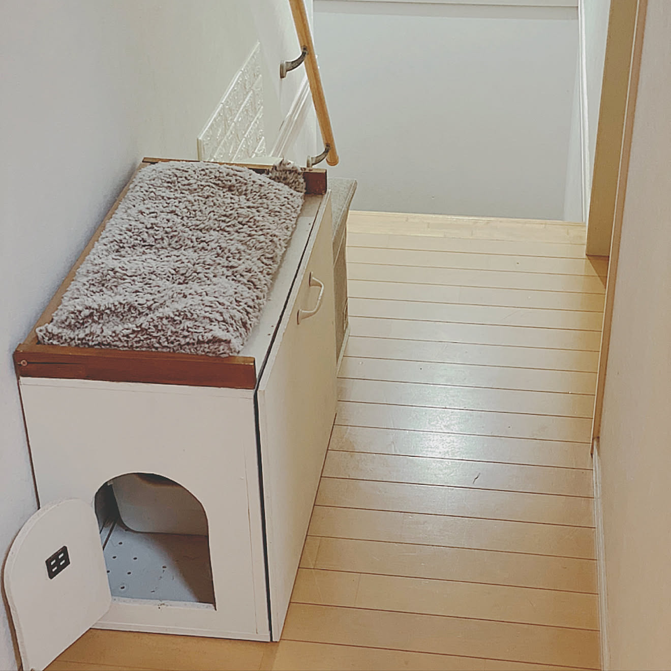 カラーボックス DIY/猫トイレカバーDIY/ニャンともと暮らす/ねこと暮らす。/ニャンとも清潔トイレ...などのインテリア実例 20200416 185501