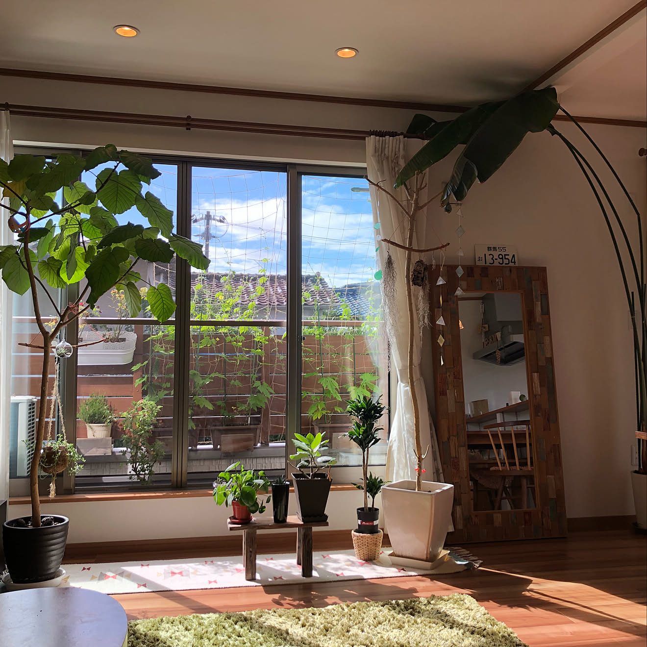 部屋全体/可愛い植木鉢を探し中/グリーンカーテンにチャレンジ/観葉植物/緑のカーテン★ゴーヤ&hellip;などのインテリア実例 201807