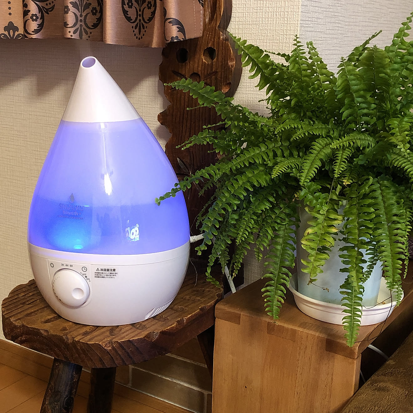机/加湿器 アロマ/感謝｡.*ฺ ฺ/いつもいいねやコメありがとうございます♡/観葉植物&hellip;などのインテリア実例 20181124