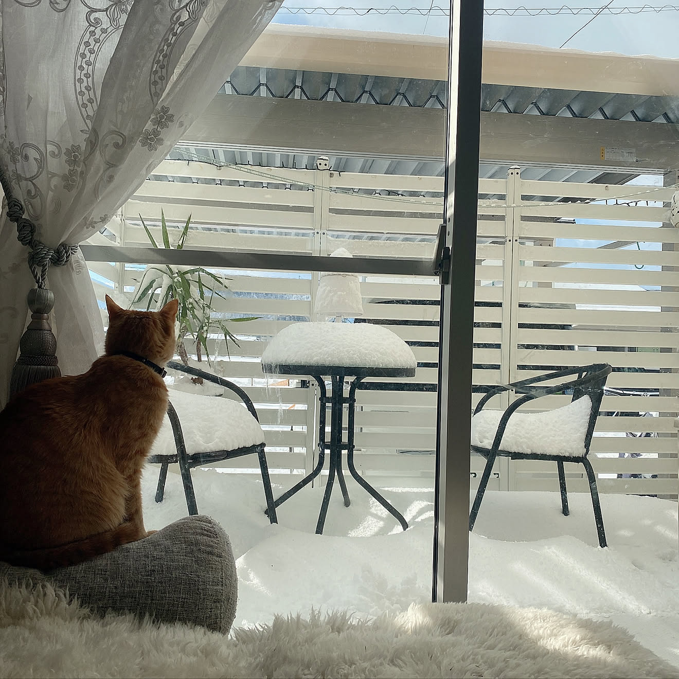 デッキDIY/雪/アーネストワン/建売玄関/建売住宅diy&hellip;などのインテリア実例 20210218 084617