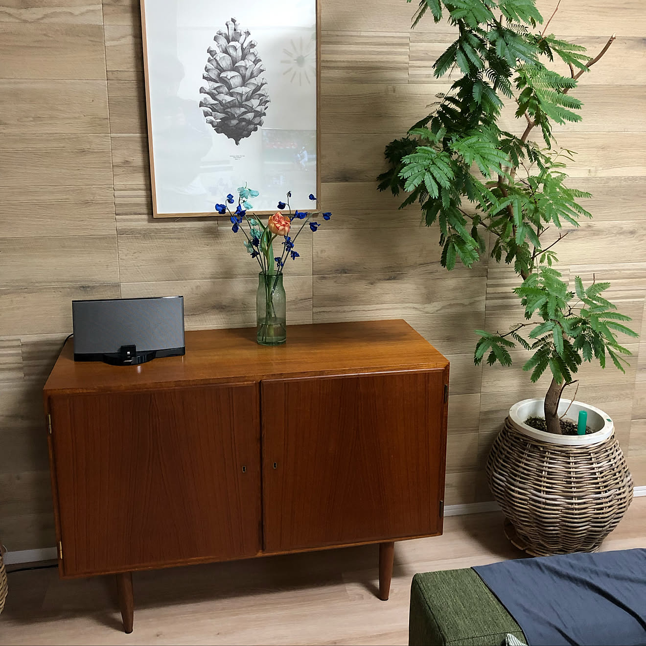 ビンテージ家具/エコカラット/観葉植物/北欧/アクタス&hellip;などのインテリア実例 20190330 112835