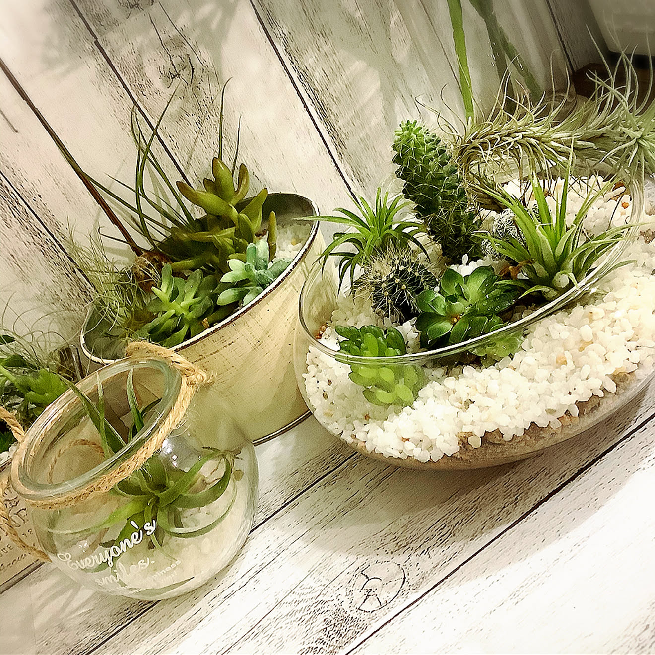 光触媒 人工観葉植物 ウォールグリーン フェイクグリーン お供え 光触媒 人工観葉植物 ウォールグリーン フェイクグリーン お供え