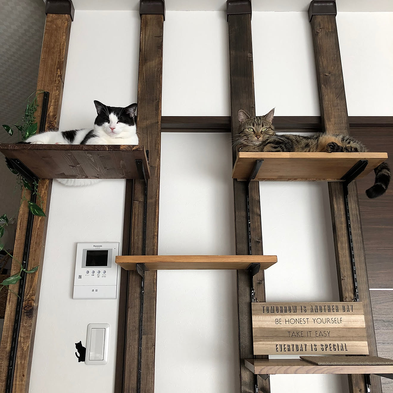 棚/チャンネルサポート/いいね♪いつもありがとうございます ️/キャットタワーDIY/ディアウォールキャットタワー&hellip;などのインテリア実例