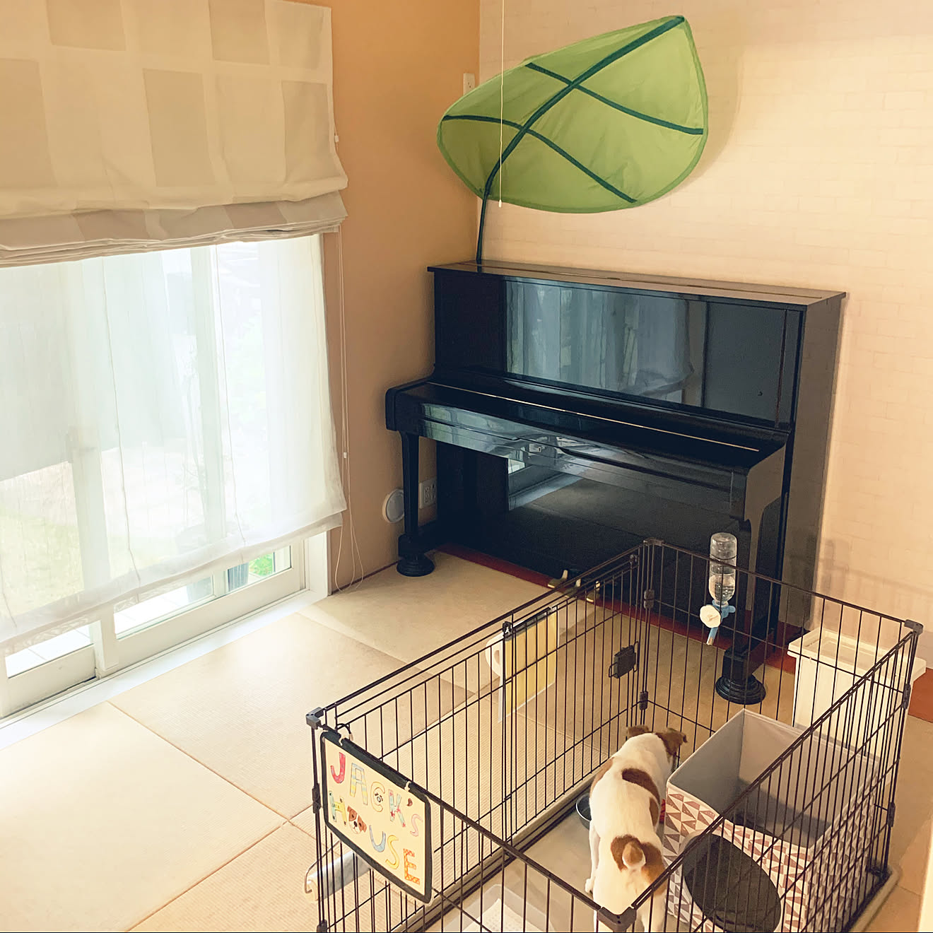 ピアノがある部屋/犬の部屋/和室から洋室へ/ペットと暮らすインテリア/部屋全体のインテリア実例 20210521 122946