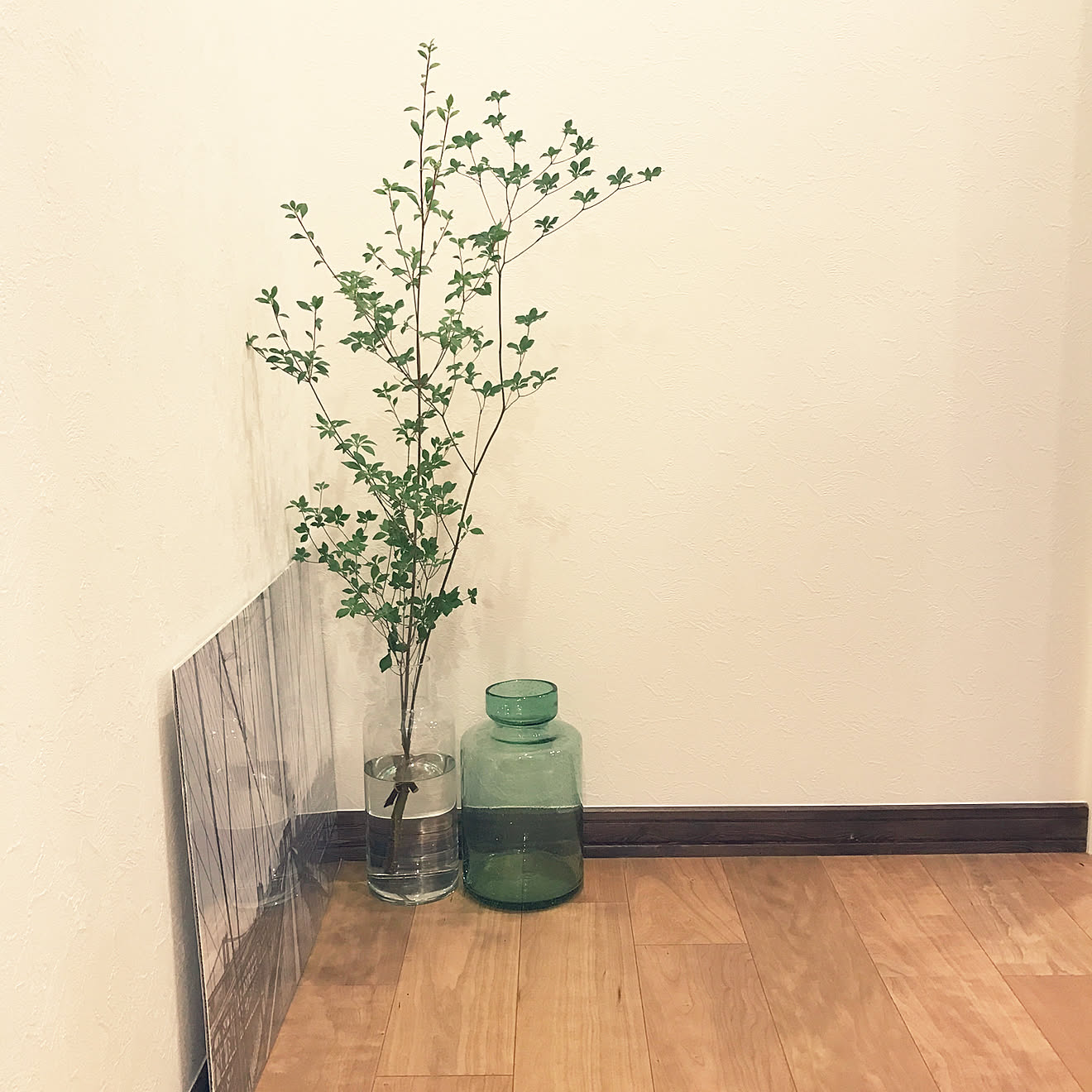 玄関/入り口/花瓶/ドウダンツツジ/NO GREEN NO LIFE/グリーンのある暮らし&hellip;などのインテリア実例 20180619