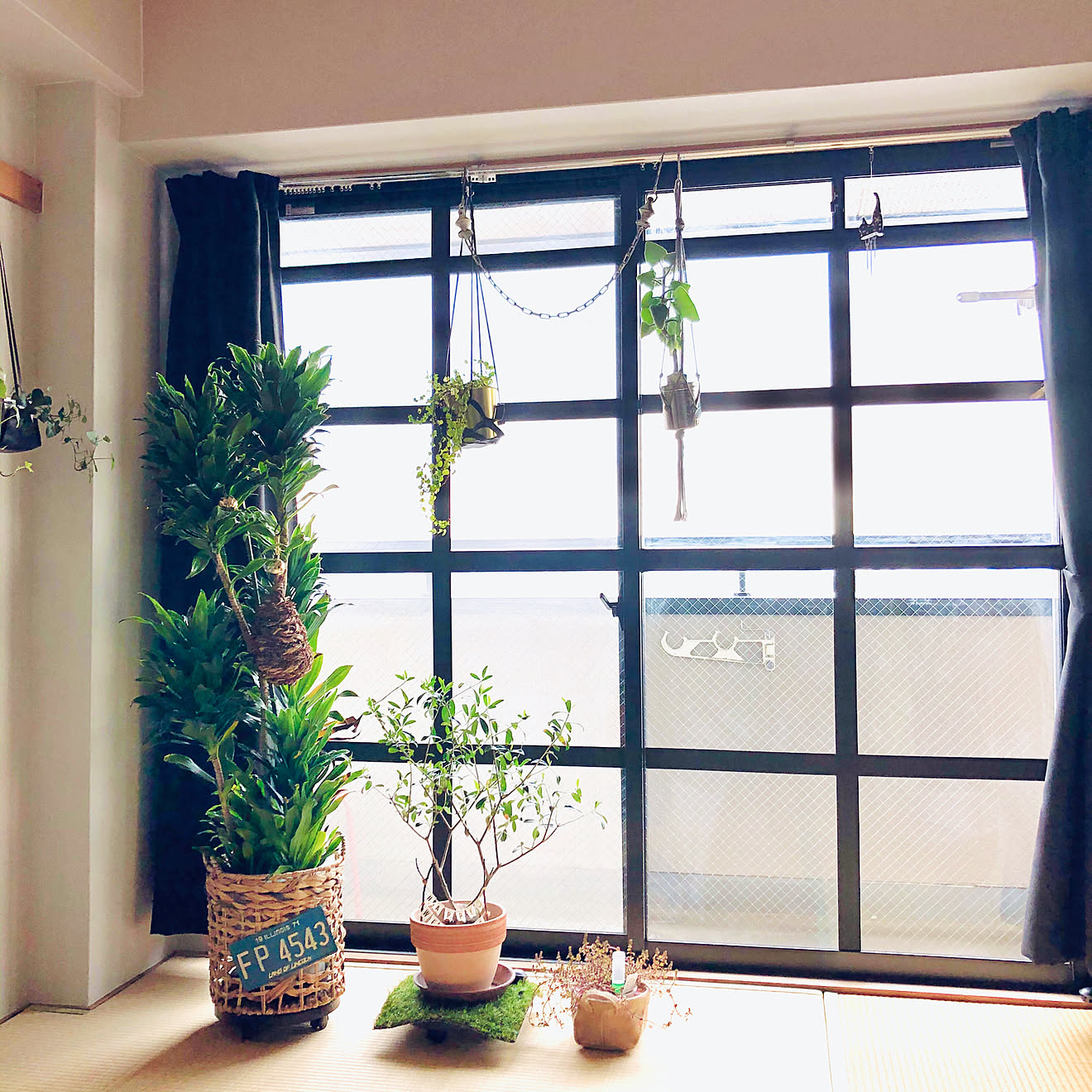 マスキングテープ/格子窓風DIY/賃貸マンション/ナチュラル/観葉植物&hellip;などのインテリア実例 20200424 123843