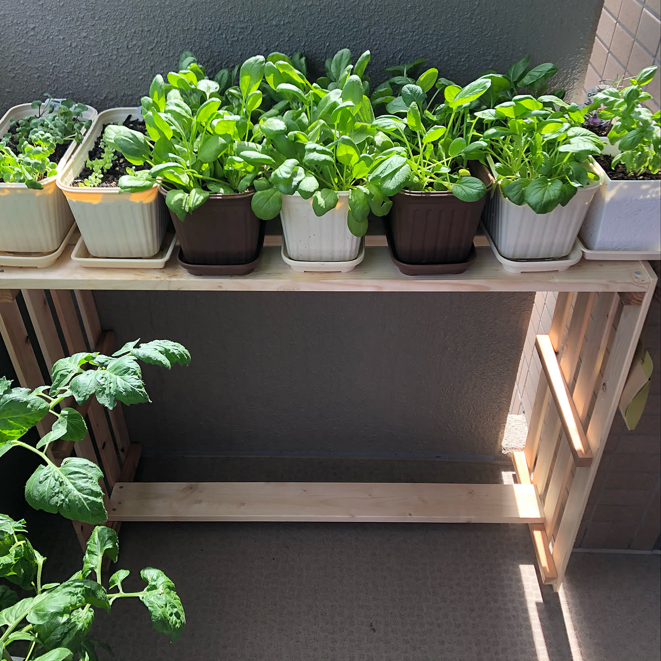 DIY/プランタースタンド/ガーデンラック/すのこDIY/1×4材...などのインテリア実例 20200523 152234