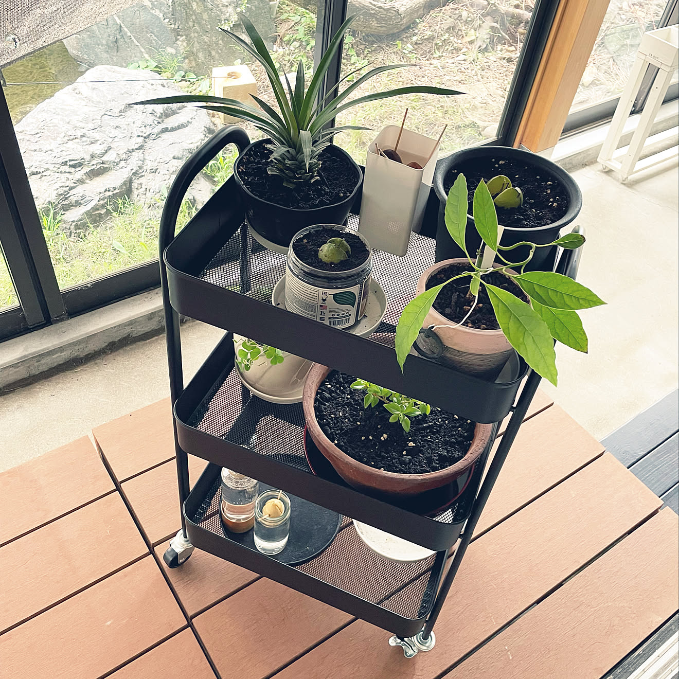 観葉植物の移動にも便利♪